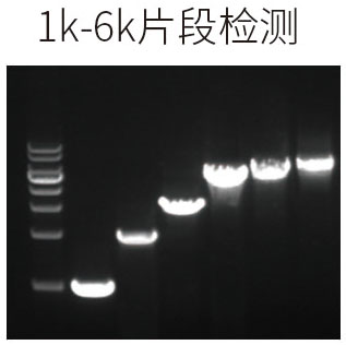 17.12ftaq mix圖1.jpg