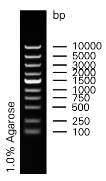 ZM108 super marker.jpg