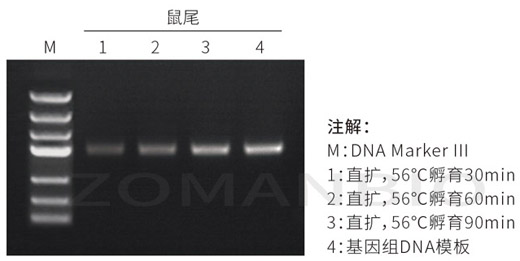 22.9.29 動物直擴(kuò)圖.jpg